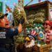 Weed